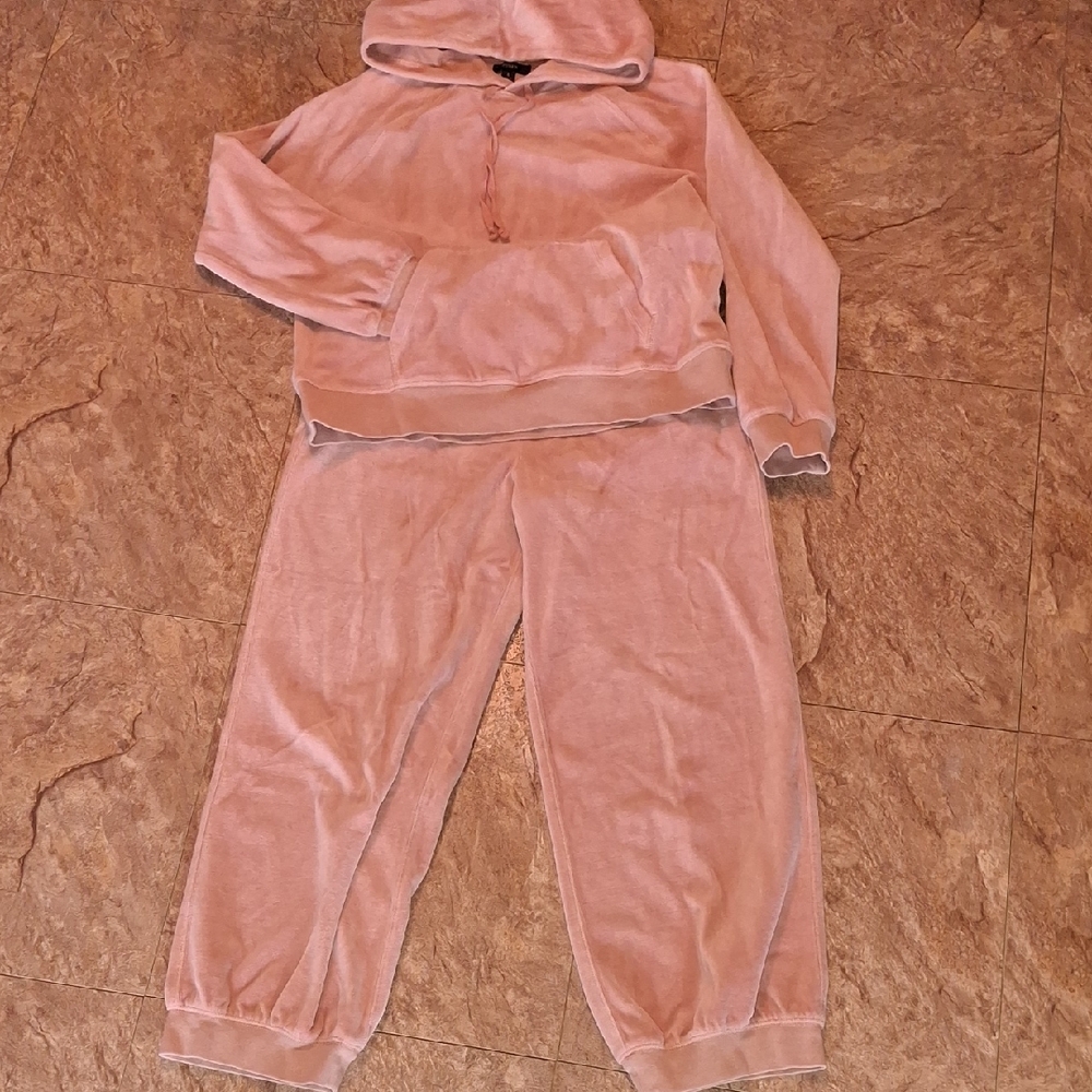 J. Crew Peachy-rose Velour Hoodie